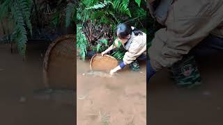 My rural life Rural life is full of fun Outdoor fishing The golden 1000 days 231 [upl. by Anehc]