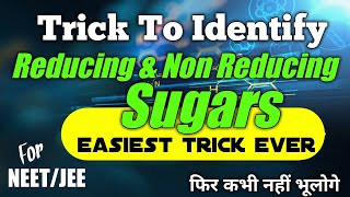 Trick To Learn Reducing And Non Reducing Sugars  Biomolecules neet  Chemistry Tricks mdcat [upl. by Aihsenal99]