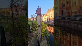 Wissembourg france walking tour [upl. by Ezzo]