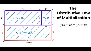 Seeing Double  Distribution Law of Multiplication [upl. by Twedy]