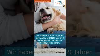 Spondylose beim Hund behandeln  DOG FIT by PreThis® [upl. by Yahsel]