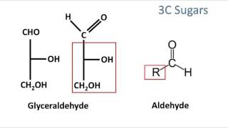 Memorizing Simple Sugars in Under 10 minutes [upl. by Bridgid]