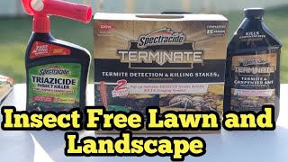 Do This Now  Kill Ants Fleas Termites Ticks How To Use Spectracide Triazicide Termite Detection [upl. by Hopkins290]