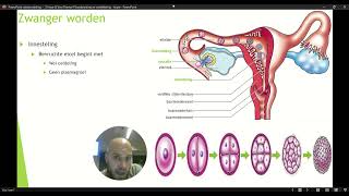 VWO 3 Thema 4 Voortplanting en Seksualiteit Basisstof 4 Zwanger worden Deel 2 [upl. by Nacnud]