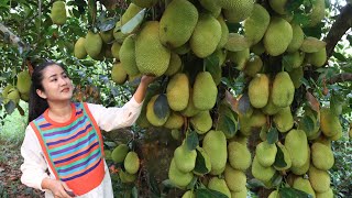 Amazing 1000 jackfruits Yummy sticky rice with jackfruit recipe  Cooking with Sreypov [upl. by Vento821]