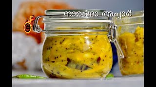 രുചിയൂറും നാരങ്ങാ അച്ചാർ  Kerala Lemon Pickle  Tasty Naranga AcharEp452 [upl. by Schug]