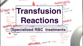 Blood Transfusion Reactions  Specialised RBC treatments  USMLE  MCQs [upl. by Yortal]