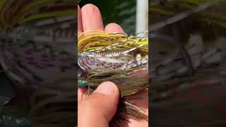 ZMan Tungsten Evo Vs JDM Tungsten JackHammer zmanfishing chatterbait  fishing [upl. by Rodolfo419]