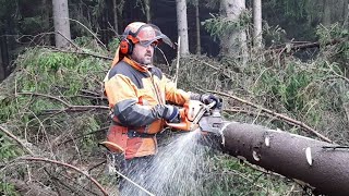 Garden and Forest VS Chainsaw Husqvarna 560XP Innovated NEW Model 2021 [upl. by Rafi625]