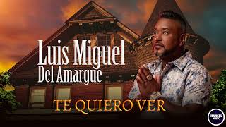 Luis Miguel Del Amargue  Te Quiero Ver [upl. by Mehetabel535]