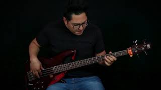 Fabulosos Cadillacs  Satánico Dr Cadillac Bass Cover  TABS [upl. by Daisey]