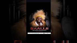 GALAANAA GAAROMSAA NEW Full ALBUM new oromo music 2019 [upl. by Nelleus]