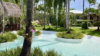 Garden Tour in Punta Cana Dominican Republic and Dendrobium Orchids in Palm Trees [upl. by Ahsael]