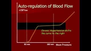 Autoregulation of Cerebral Blood [upl. by Jere]