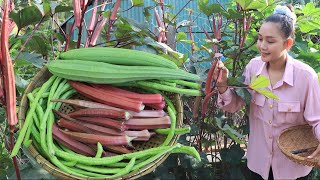 PURPLE Okra vs Long Beans Which One Reigns Supreme [upl. by Aenit]