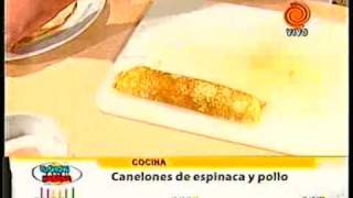 canelones rellenos de pollo y verdura pt4 201201163gp [upl. by Eelta]