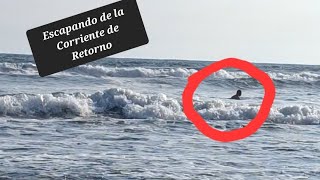 TE SORPRENDERÁ Como este hombre escapa de una corriente en el mar [upl. by Sigfried]