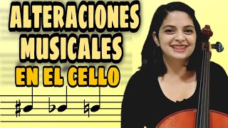 ⚜️¡Cómo hacer un SOSTENIDO o un BEMOL en tu violín🎻😰 MagLuna [upl. by Scrivings]