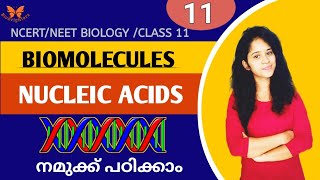 NUCLEIC ACIDS  BIOMOLECULES NCERT NEET BIOLOGY CLASS 11IN MALAYALAM [upl. by Kalman504]