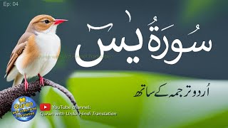 Surah Yaseen  Yasin with Urdu Tarjuma  Quran tilawat  Episode 04  Quran with Urdu Translation [upl. by Alston]