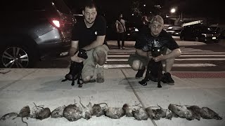 EXCLUSIVE INTERVIEW  MARSHALL FEINBERG  GRIT N GRIN  VERMIN CONTROL DOGS [upl. by Docile]