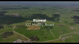 107 Molloy Road Ruawai [upl. by Ahtael369]