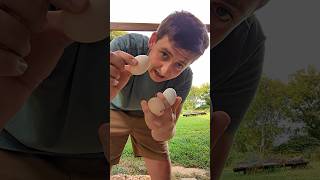 How Many Of Our Eggs Had A White Dot chickeneggs [upl. by Eliot330]