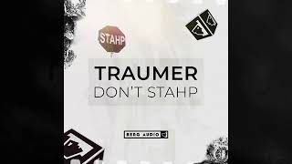 Traumer  Dont Stahp Original Mix [upl. by Eilsek]