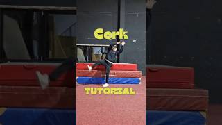 How to learn a cork corkscrew shorts [upl. by Onibas]