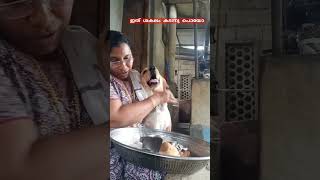 labrador doglover അതികപ്രസംഗമായോ [upl. by Aloz]