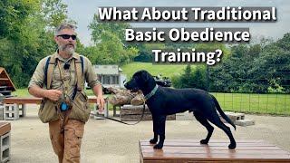 Traditional Basic Obedience Training  Labrador Retriever Session Excerpt [upl. by Aiynat]