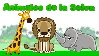 Aprende Nombres y Sonidos de Animales de la Selva Videos educativos para niños [upl. by Ainala411]