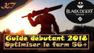 BDO  Guide débutant 2018 4 Optimiser le farm 56 [upl. by Akeret]