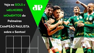 VERDÃO TRICAMPEÃO PAULISTA PALMEIRAS 2 X 0 SANTOS  MELHORES MOMENTOS  FINAL DO PAULISTÃO 2024 [upl. by Fredra]