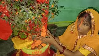 vlog Dev uthani ekadashiTulsi Vivah bhakti mein Shakti hai mera Anubhav haiofficialvanju8592 [upl. by Aleinad244]