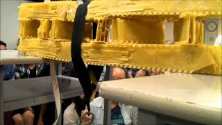 Physics Bridge Building Contest Earl Haig High School 2012 [upl. by Epuladaugairam731]