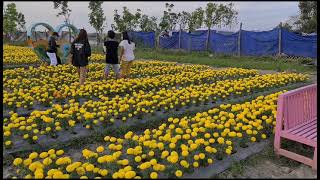 Villaronte Farm San Antonio Nueva Ecija pang Instagram [upl. by Eendys817]