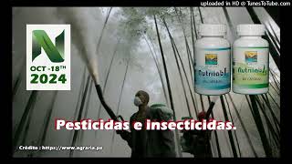 20241018 Pesticidas e Insecticidas [upl. by Romney]