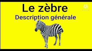 le zèbre  Description générale [upl. by Dumah]