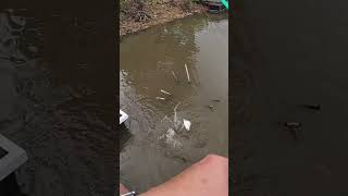 More Crappie Fishing Shallow Structure [upl. by Ajin]