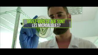 Que savezvous vraiment sur les microalgues [upl. by Aelsel]