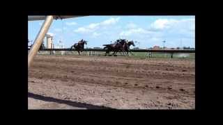 Canterbury Park Horse Races [upl. by Daniella]