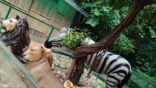 Lucknow zoo [upl. by Aicilra]