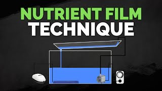 Nutrient Film Technique NFT Hydroponics System Tutorial [upl. by Latsyrc]