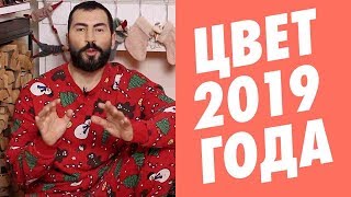 ЦВЕТ 2019 ГОДА  Живой коралл Living Coral [upl. by Acirrehs]