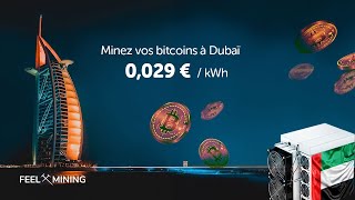 Direction Dubaï pour miner du Bitcoin 🚀 [upl. by Vi]