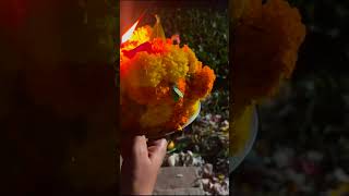 Bathukamma NimarjanamBathukamma SongsMangli SongsDj SongsTrending Bathukamma ShortsYt Shorts 👌👌 [upl. by Idonah]