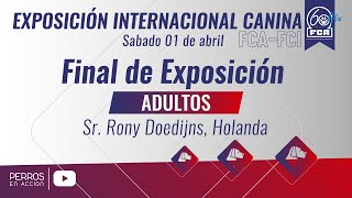 quotPerros en acciónquot Exposición Internacional Canina FCAFCI 2023 [upl. by Iridissa]