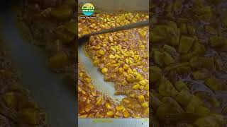 COOKING WallagoBOAL Fish Curry bengalifood villagefishcurry cooking food fishrecipes [upl. by Kenway]