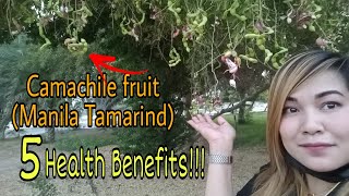 CAMACHILE MANILA TAMARIND 5 BENEFITS healthy healthytips [upl. by Berkley]